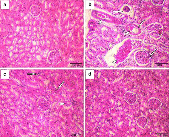 Fig. 6