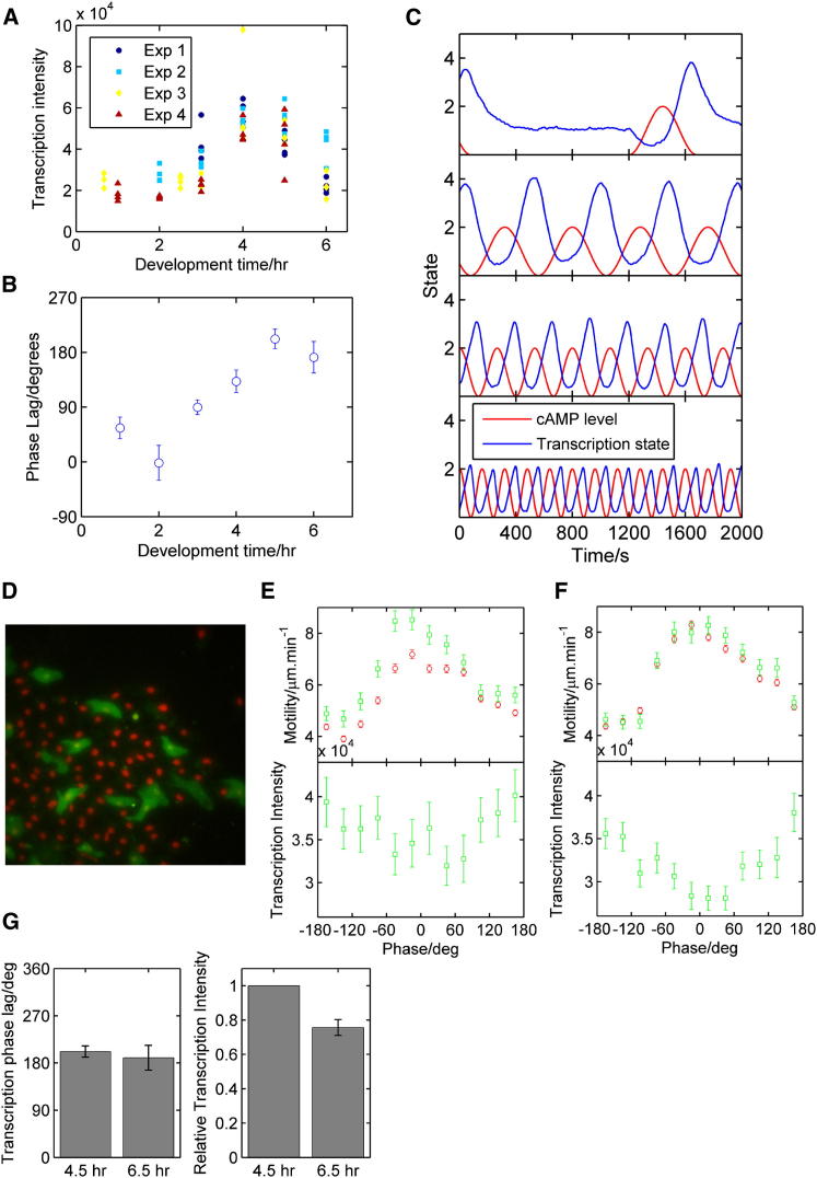 Figure 2