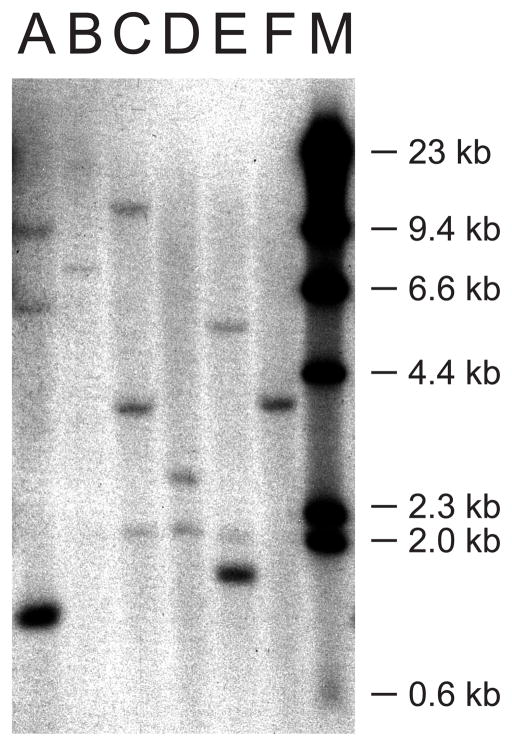 Fig. 5