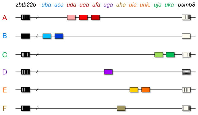 Fig. 7