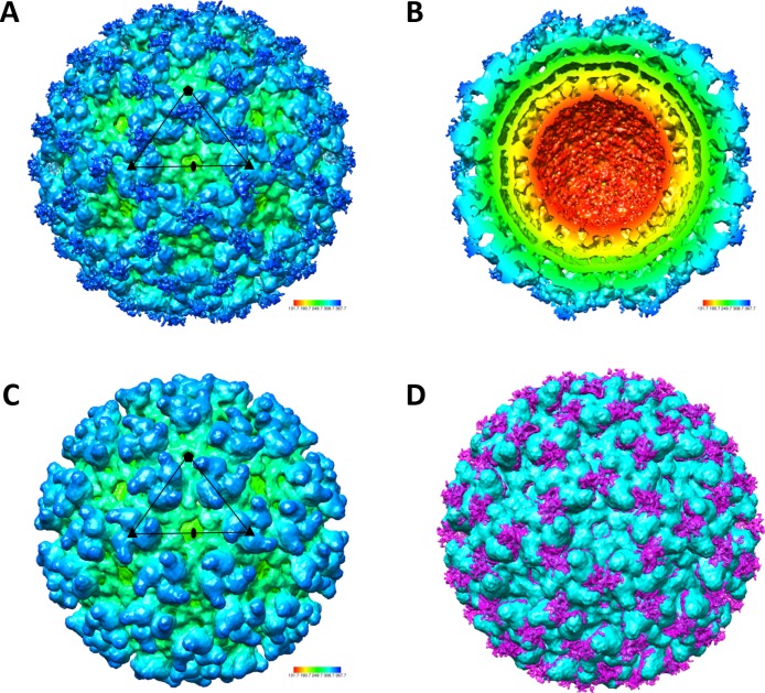 Fig 2