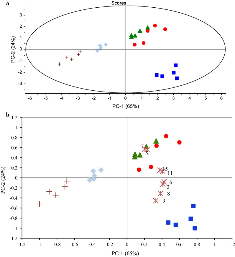 Fig. 2