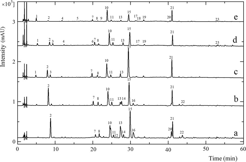 Fig. 1