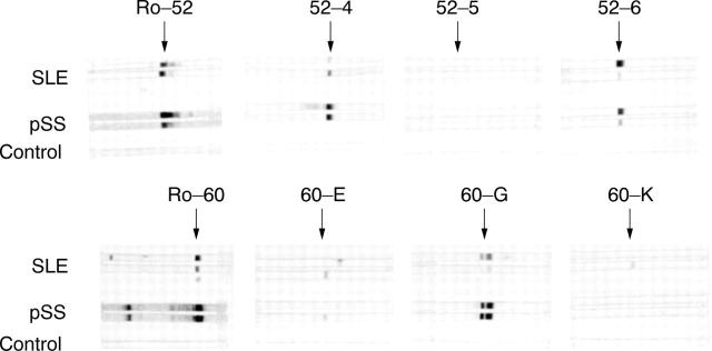 Figure 3  