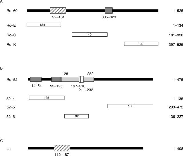 Figure 1  