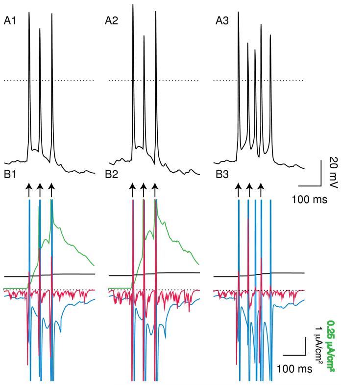 Figure 11