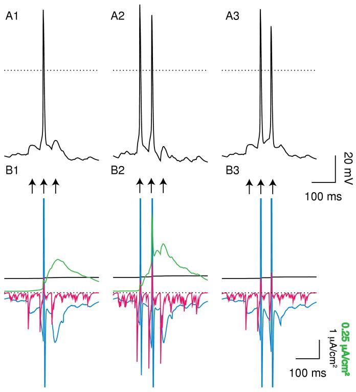 Figure 10