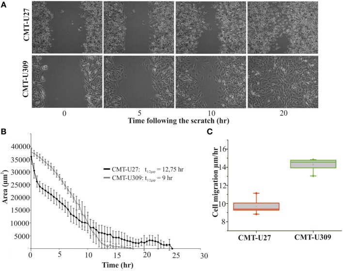 Figure 4