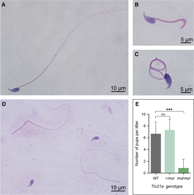 Figure 3