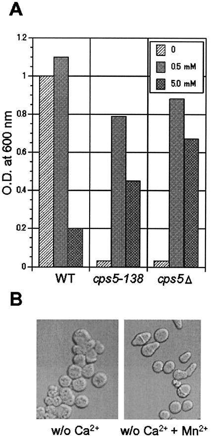 FIG. 5.