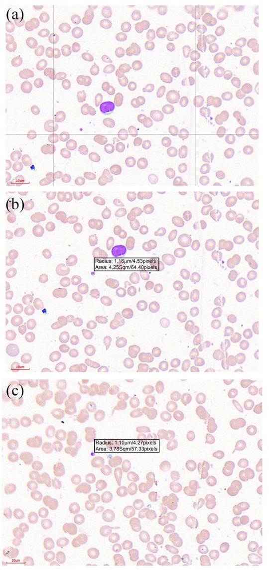 Figure 2.