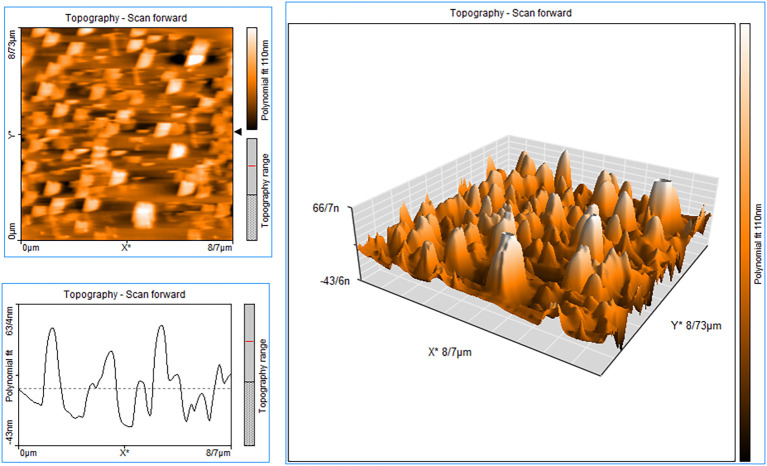 Figure 3