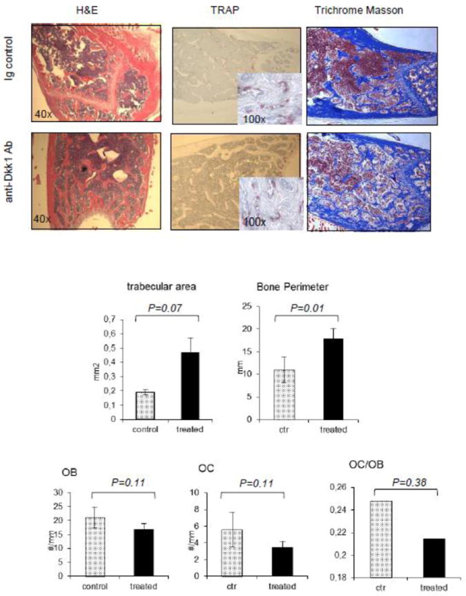 Fig.3