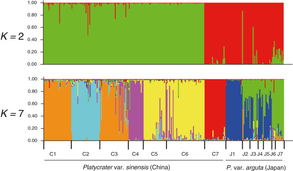 Figure 5