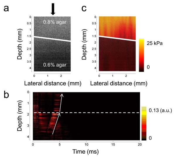 Fig. 4