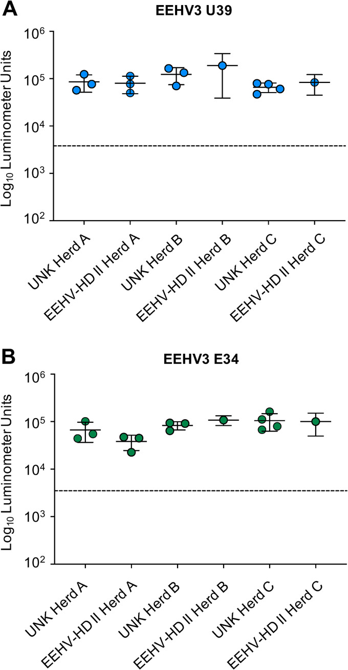 FIG 2