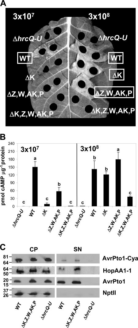 FIG. 7.