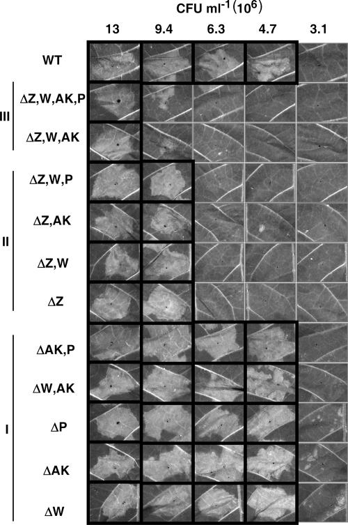 FIG. 4.