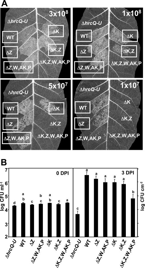 FIG. 6.