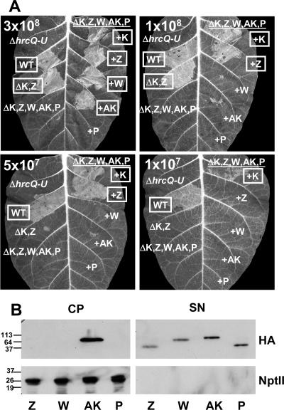 FIG. 8.