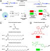 Fig. 1.