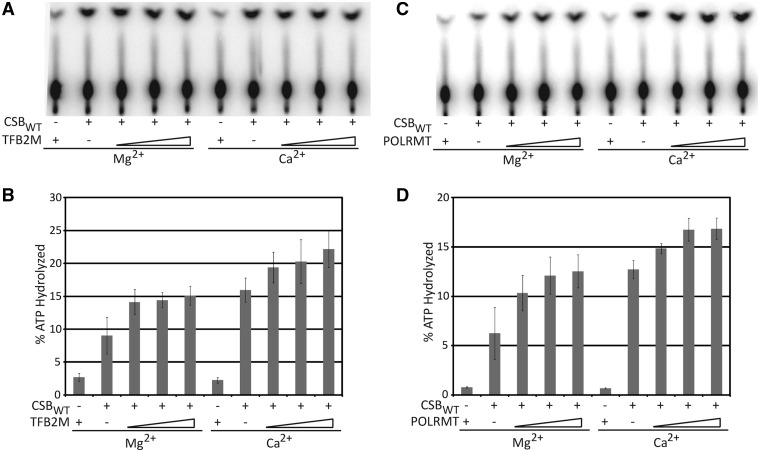 Figure 4.