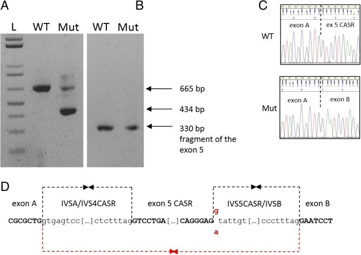 Fig. 4