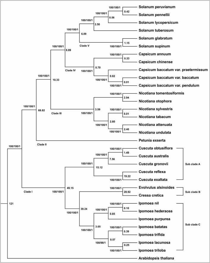 Fig. 9