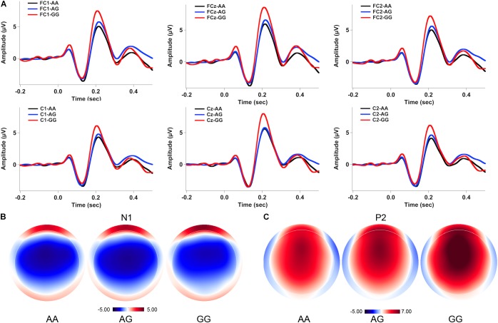 FIGURE 3