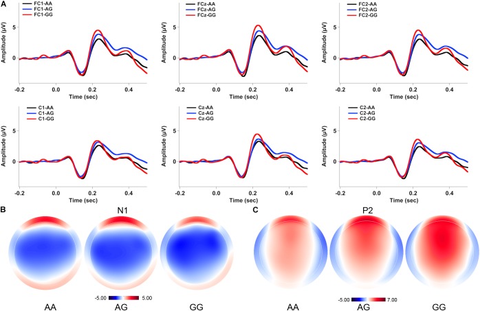 FIGURE 2