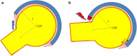 Fig. 3