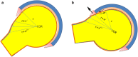 Fig. 1