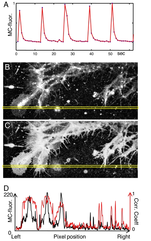 Fig. 2.