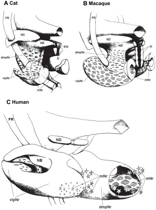 Figure 14