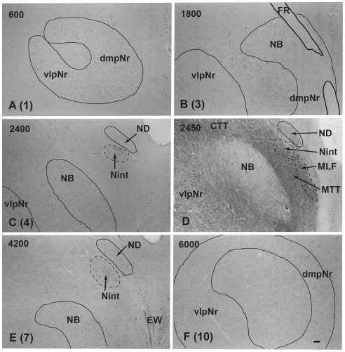 Figure 11