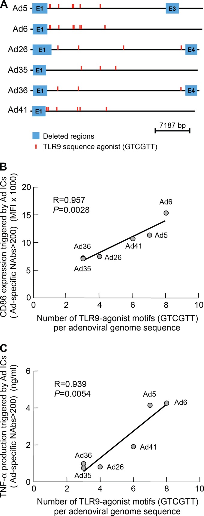 Fig 5