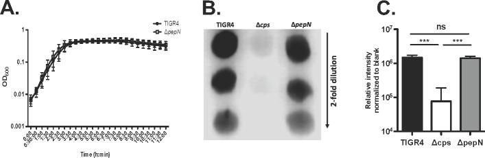 Fig 5