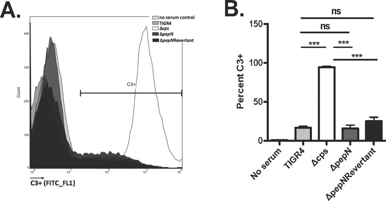 Fig 7