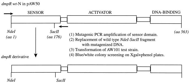 FIG. 1