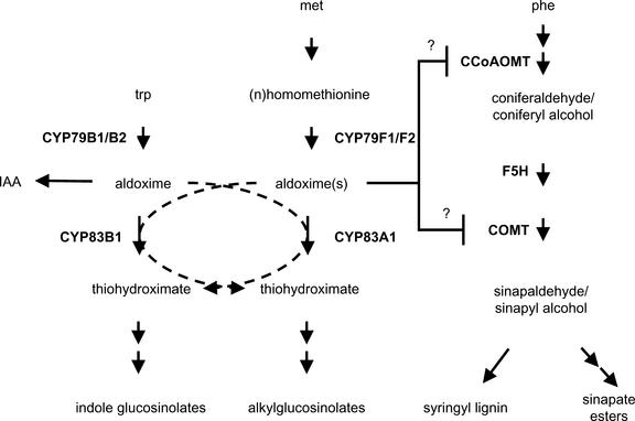 Figure 11.