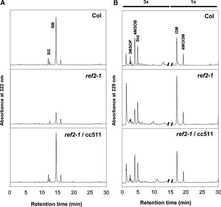 Figure 2.