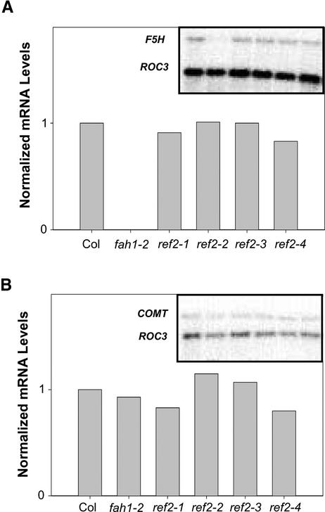 Figure 7.