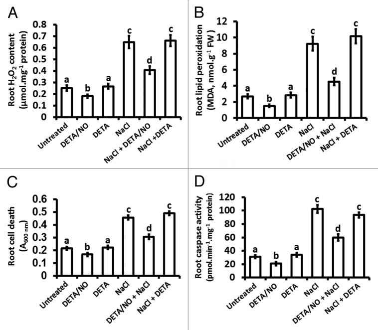 Figure 3. 