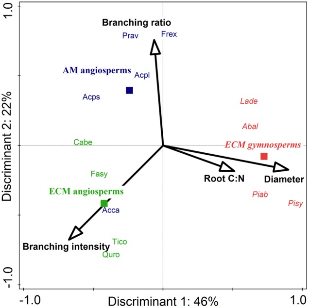 FIGURE 2