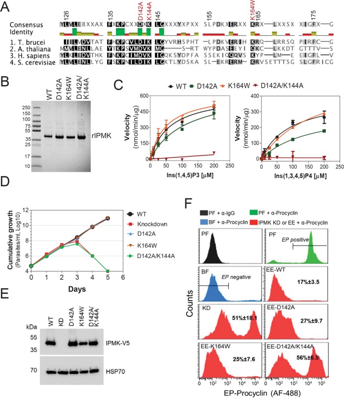 FIGURE 2: