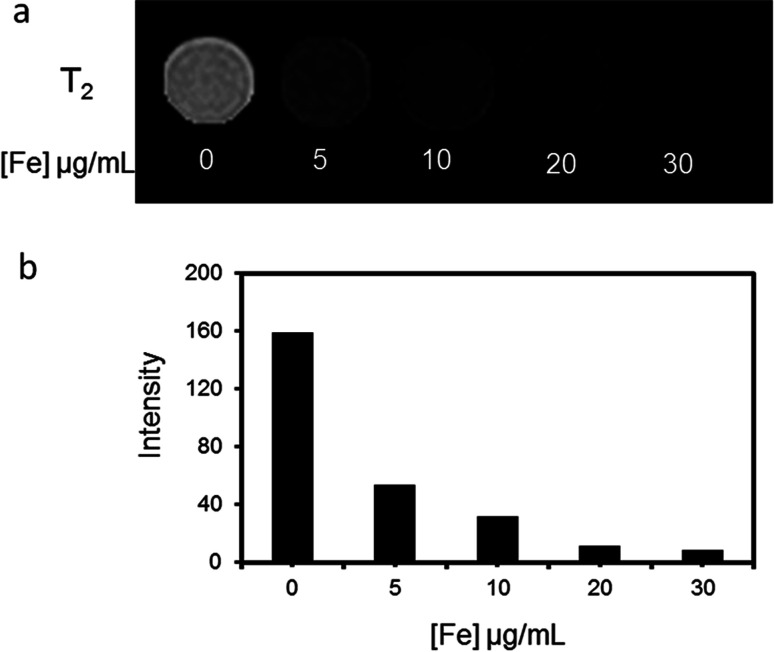 Fig. 5