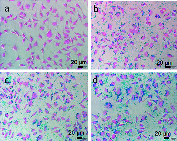 Fig. 4