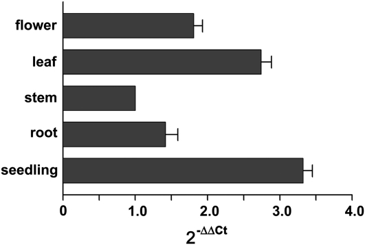 Figure 2.