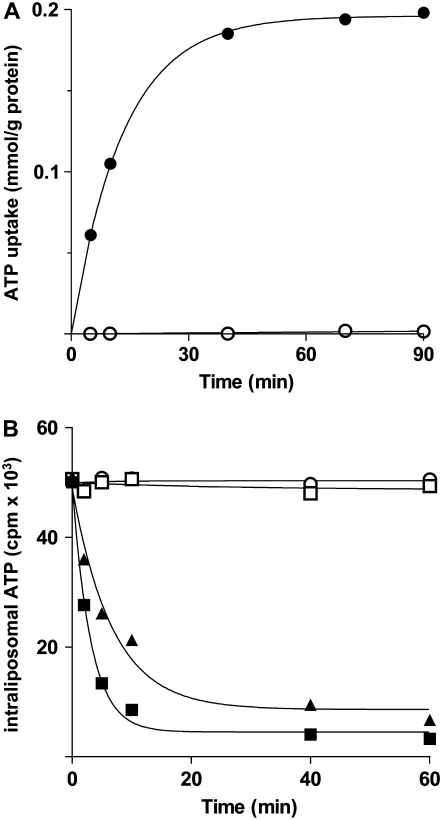 Figure 7.