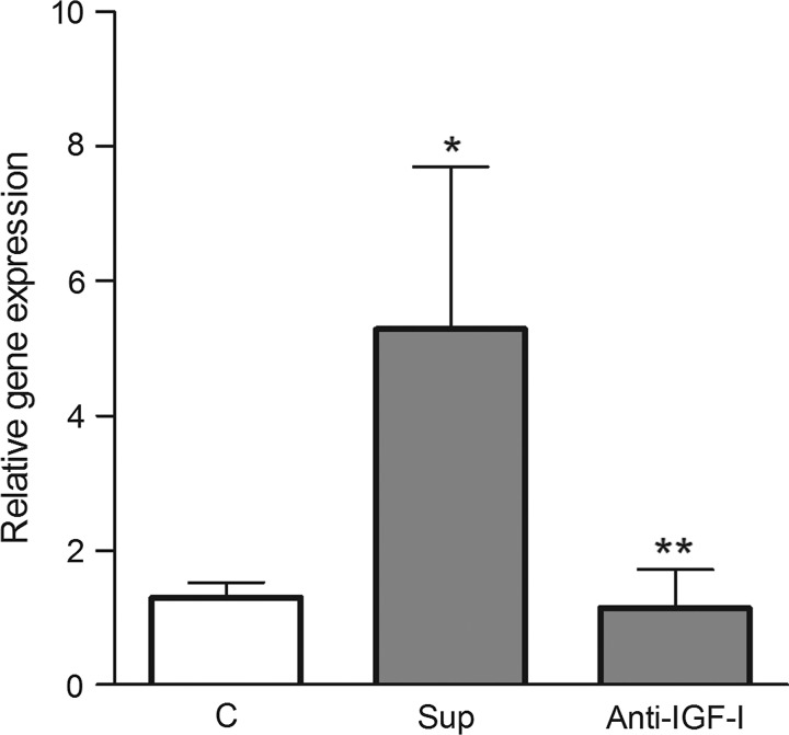 FIG. 8.